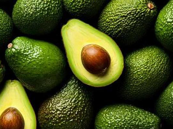 Palta Premium